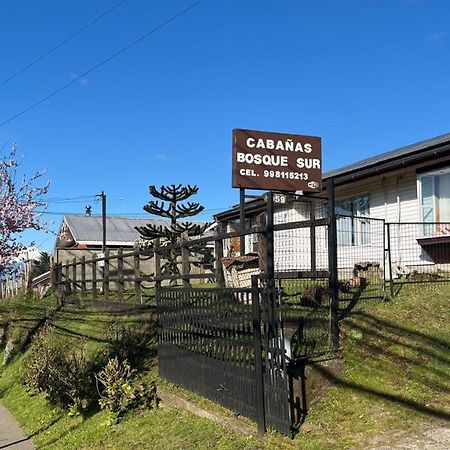 Cabanas Bosque Sur 푸에르토바라스 외부 사진