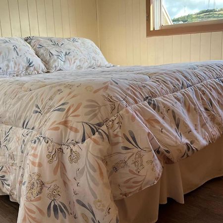 Cabanas Bosque Sur 푸에르토바라스 외부 사진