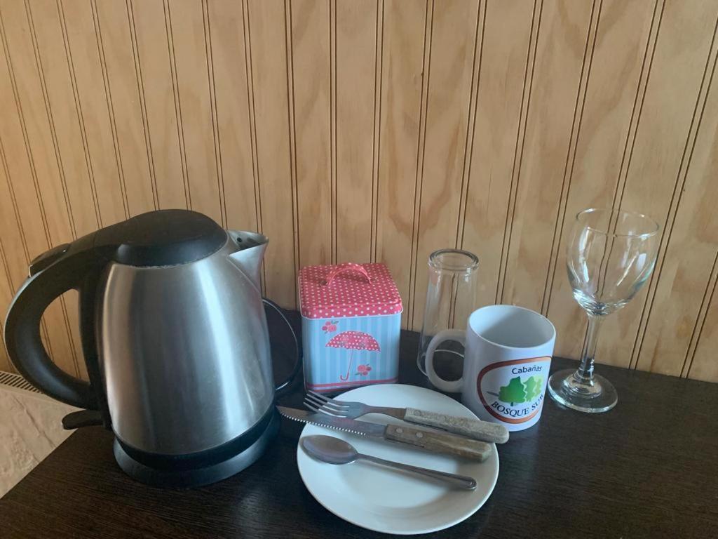 Cabanas Bosque Sur 푸에르토바라스 외부 사진