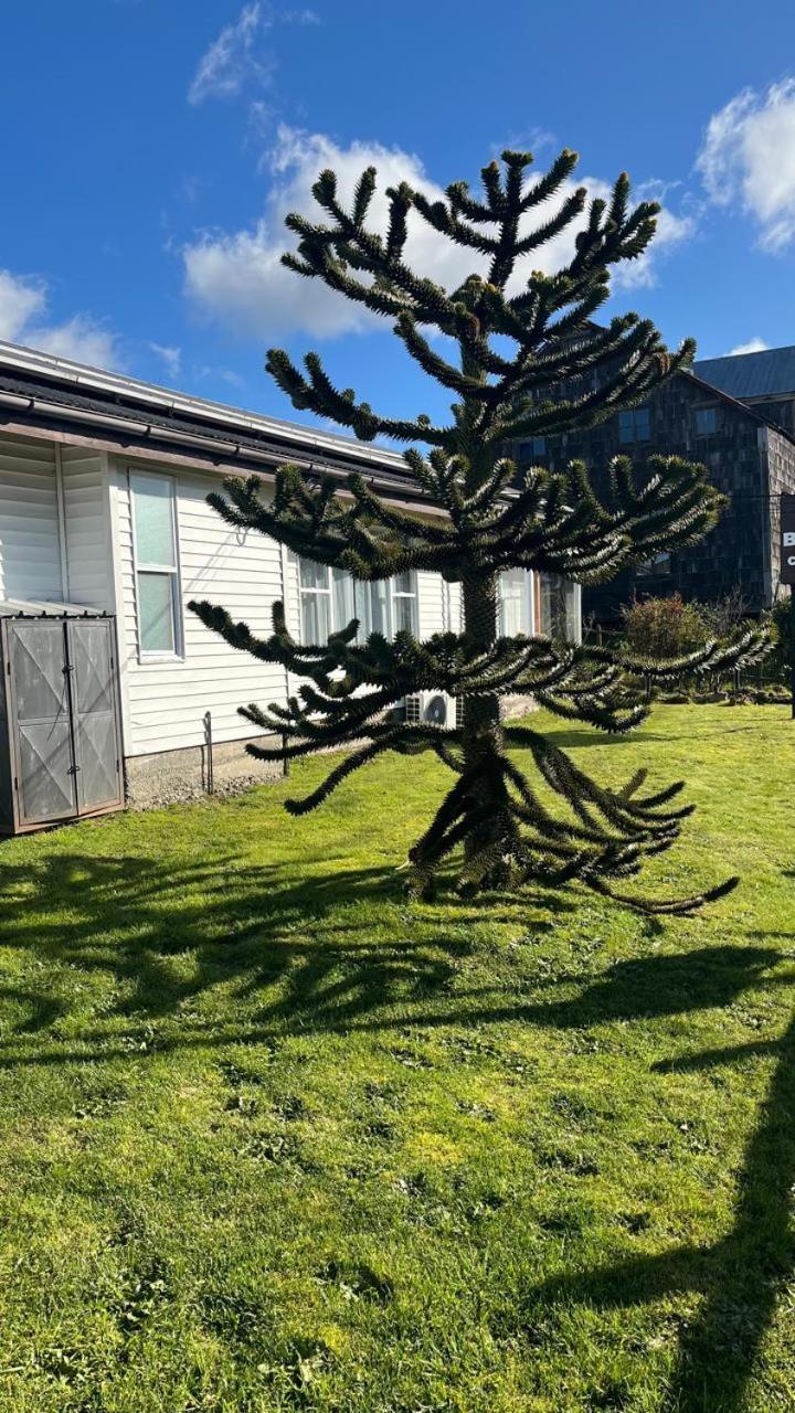 Cabanas Bosque Sur 푸에르토바라스 외부 사진